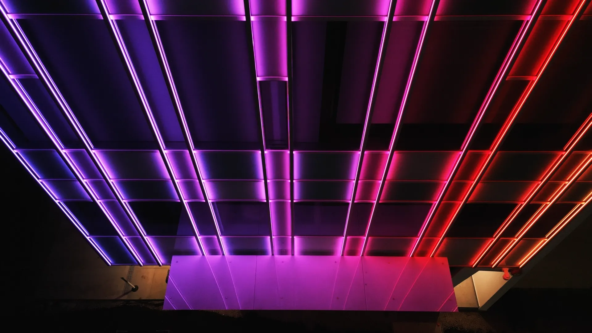 Custom Premade Dragon LED Lighting Solutions by Centerlight